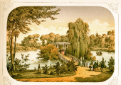 Insel im Kleinen Tannenwald
