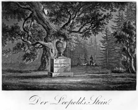 Der Leopoldstein