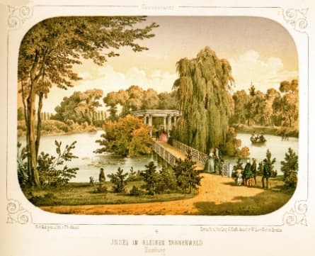 Insel im Kleinen Tannenwald